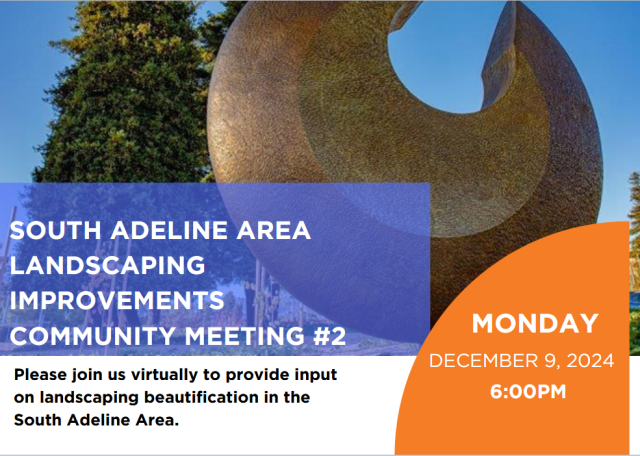 Screenshot of South Adeline Landscaping meeting 12/9/24